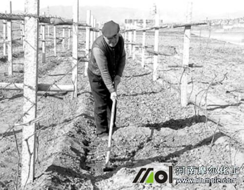 葡萄深耕翻園 葡萄深耕翻園