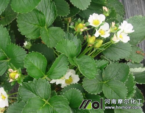 �����ݮ���Ҏ��