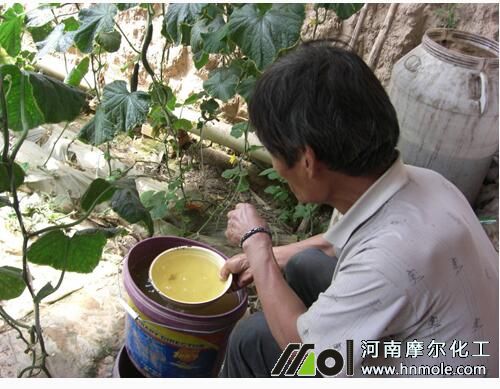 水溶肥沖施方法 水溶肥沖施方法