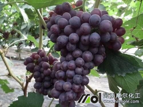 �����D(zhu��n)ɫ�ڹ�������