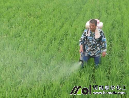 小麥噴施水溶肥料 小麥噴施水溶肥料