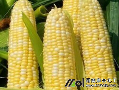 ������������c