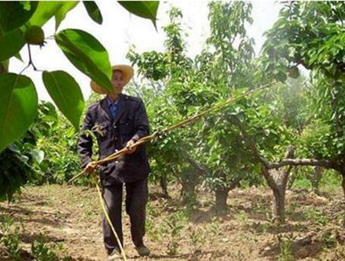 液體肥料使用方法 液體肥料使用方法