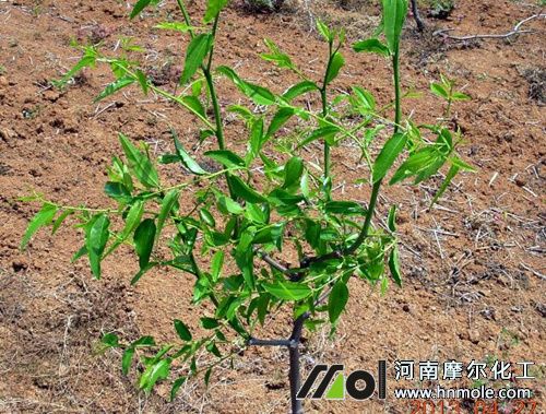 �����l��