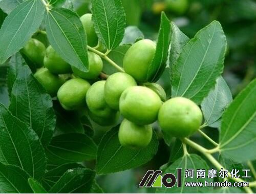 �������Y��