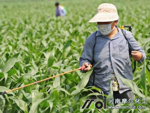 �~�懊ʩ�����