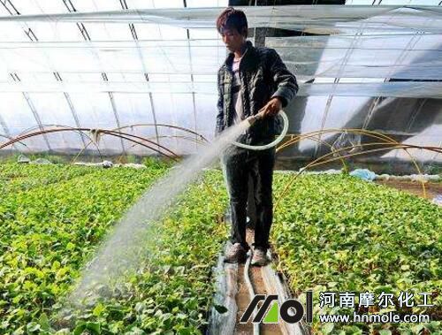 �����_ʩ�����