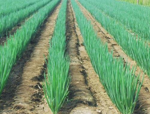 ���[ʹ������⛏ͺϷ�