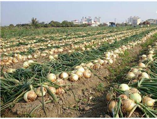 ���[ʹ������⛏ͺϷ�