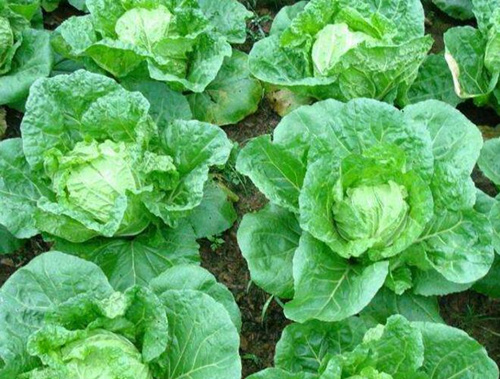 ��ײ�ʹ������⛏ͺϷ�