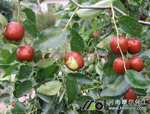 ����Y����׷ʩ���ˮ�ܷ�