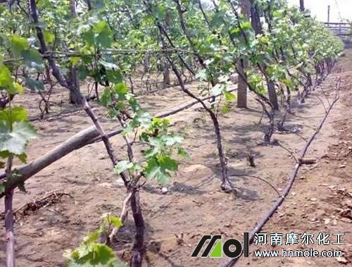 ˮ�ܷʵι�����