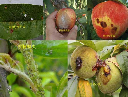 �Ҙ仨��Ҋ���x��