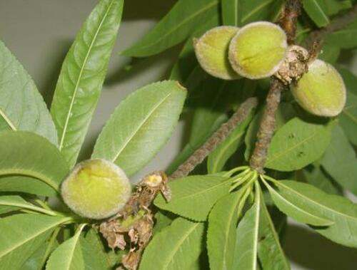 �Ҙ仨��Y��