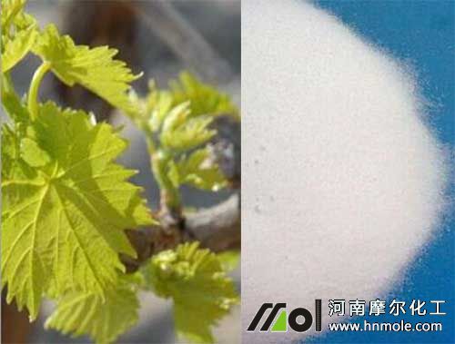 ������ѿǰʩ����