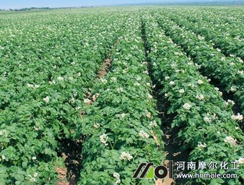 �����l����׷��