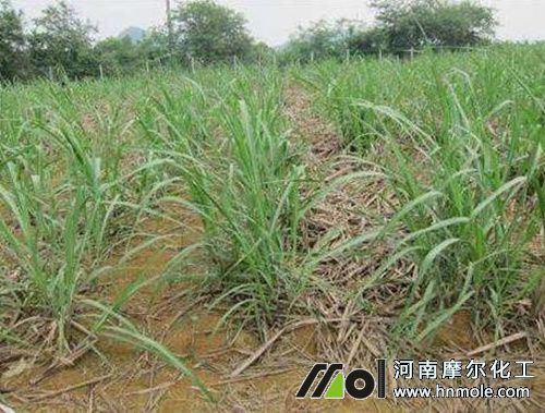 ��������ʩˮ�ܷ�