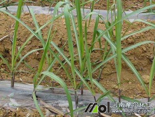 ������Y��׷ˮ�ܷ�