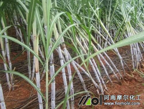 ����ʩ��βˮ�ܷ�