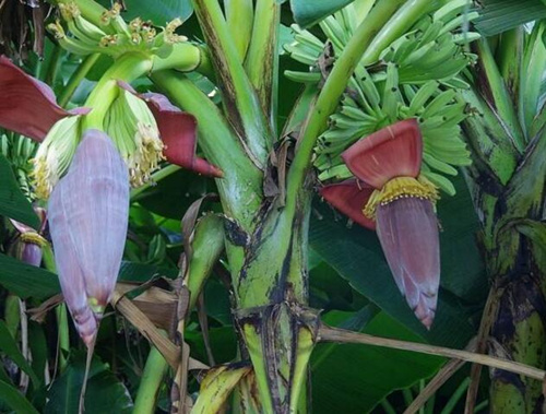 �㽶�_(k��i)��������׷��