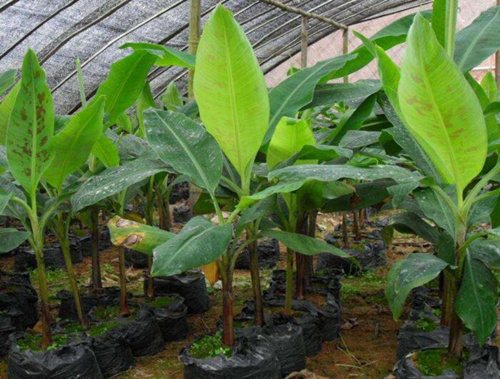 �㽶���~��׷��