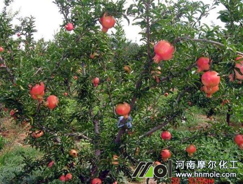 ʯ��Y��ʩ���ˮ�ܷ�