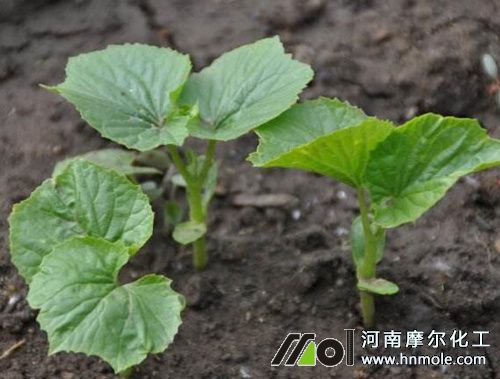 ��϶�ֲ��׷��