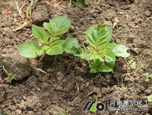 �����l(f��)ѿ��