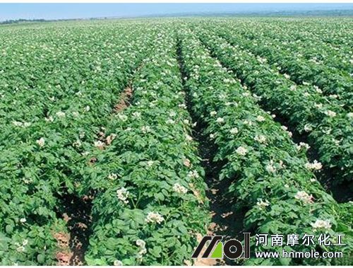 �����l(f��)����׷ʩˮ�ܷ�