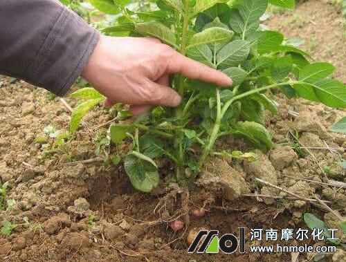 �R����Y(ji��)����׷ʩ���ˮ�ܷ�