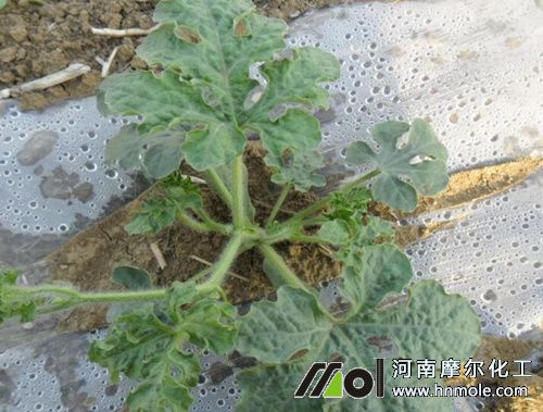 ��������׷��