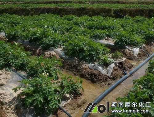 水溶肥滴灌 水溶肥滴灌