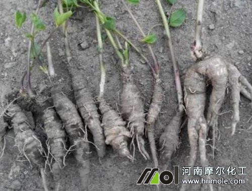 ɽ���}����ϵ���