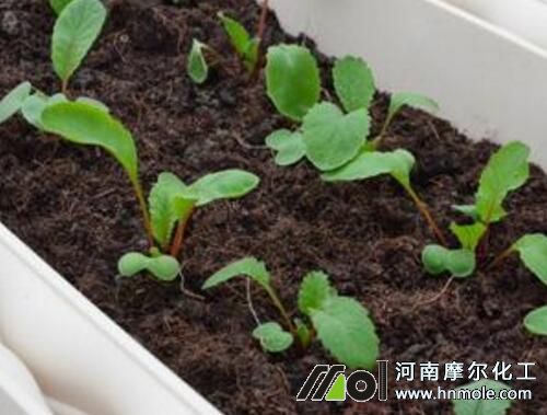 ɽ���}������