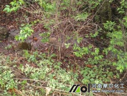 ɽ���}������