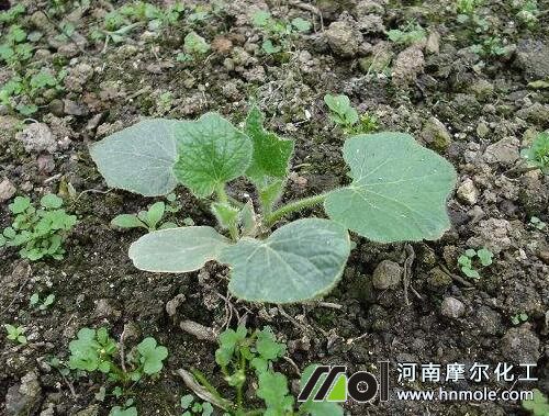 �������ڲ�׷��