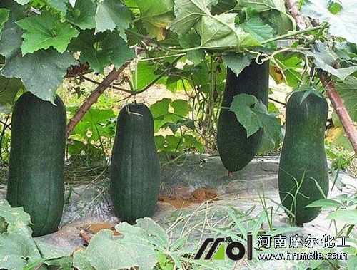 ���ϽY(ji��)����׷ʩˮ�ܷ�