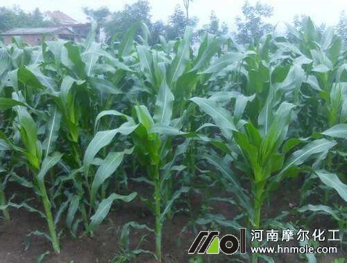 ���װι�(ji��)��