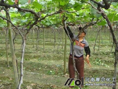 ����֦�l��׷ʩ�ߵ�ˮ�ܷ�