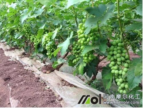 ���������׷ʩ���ˮ�ܷ�