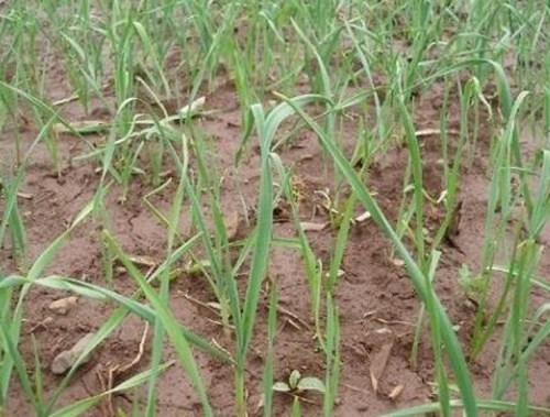 ����Խ��ǰ׷��