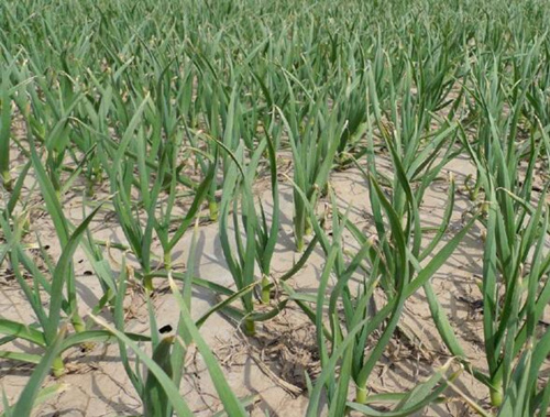 ���ⷵ����׷��