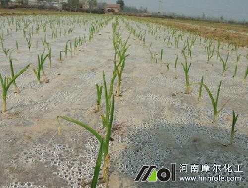 ����������׷��