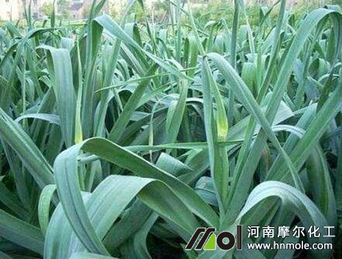 �����޷��׷��