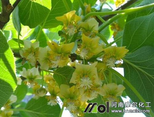 �J���Ҵٹ���