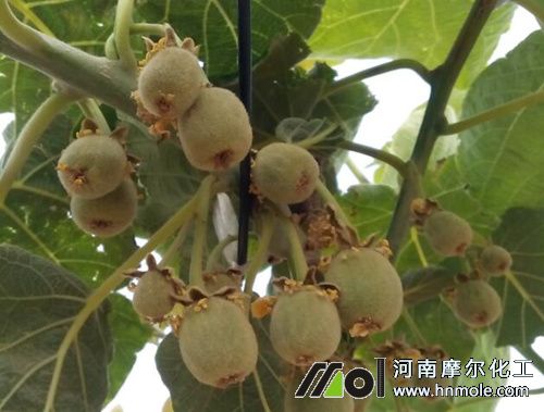 �J���ҽY��׷ʩˮ�ܷ�