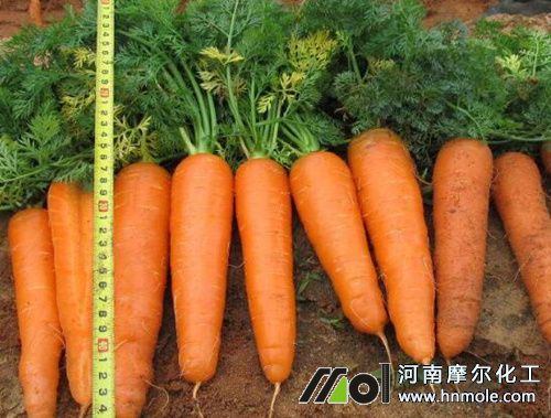 ���}��������c