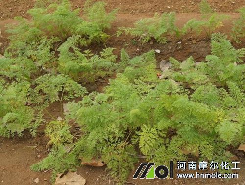 ���}�������׷��