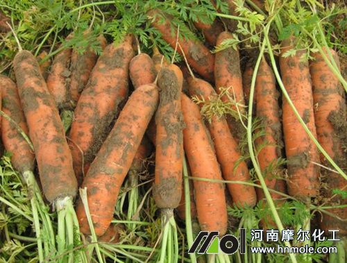 ���}�������׷��