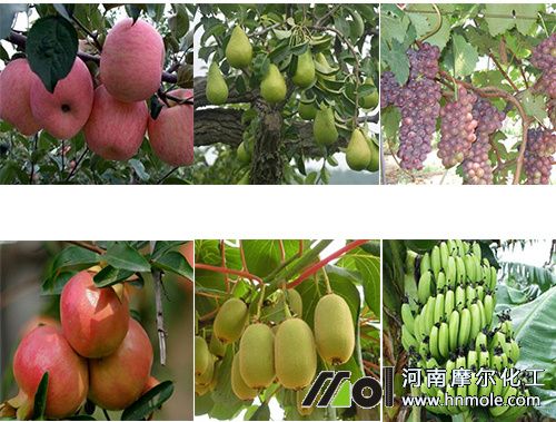 ����(sh��)����⛷�